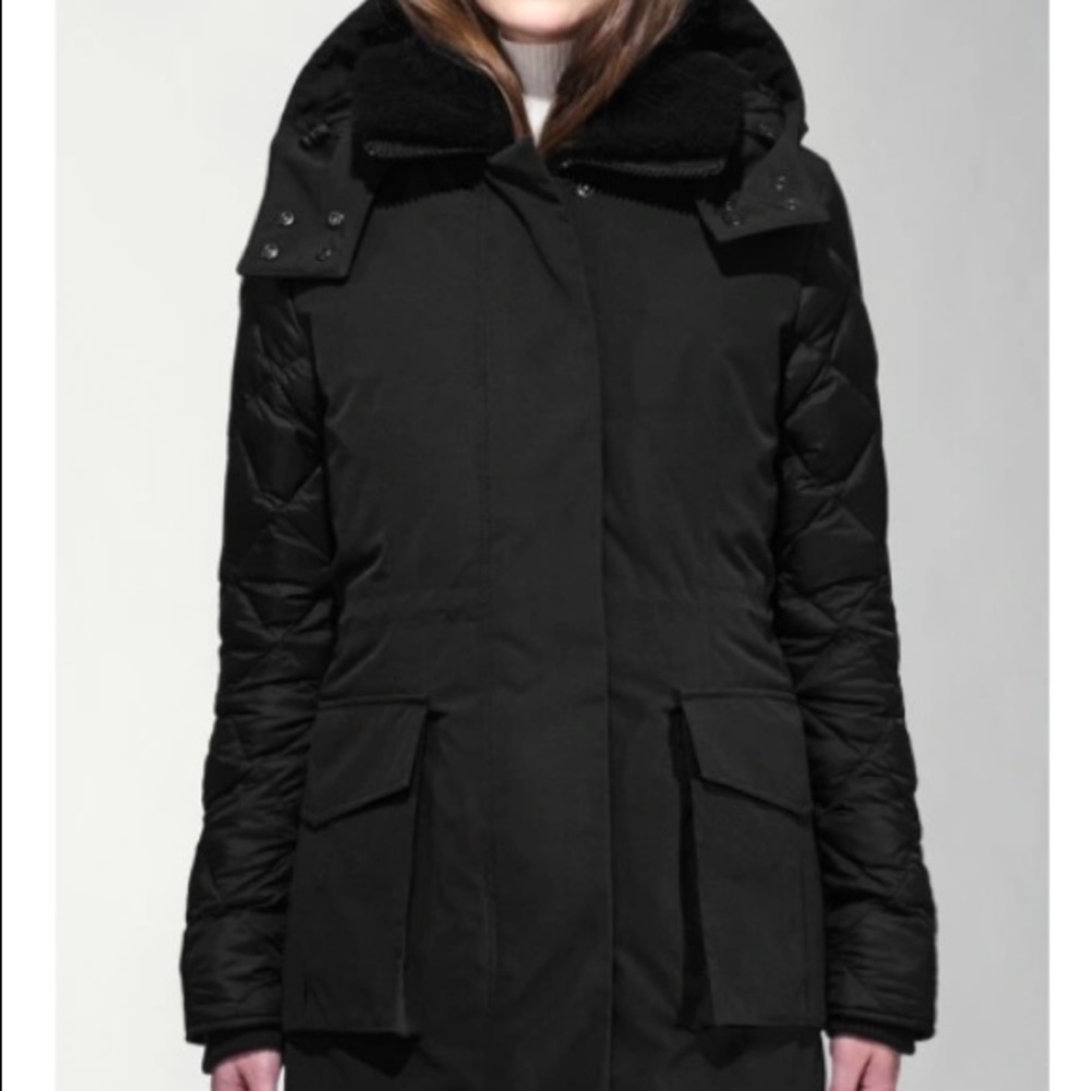 Canada Goose